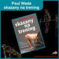 featured image thumbnail for post Kalisteniczny trening siłowy - 